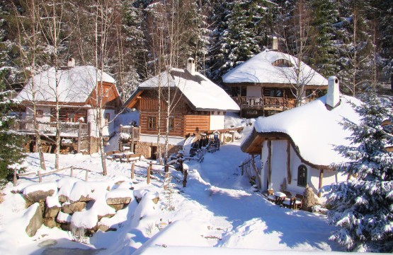 PODLESÍČKO | Hotel Podlesí, Vysočina